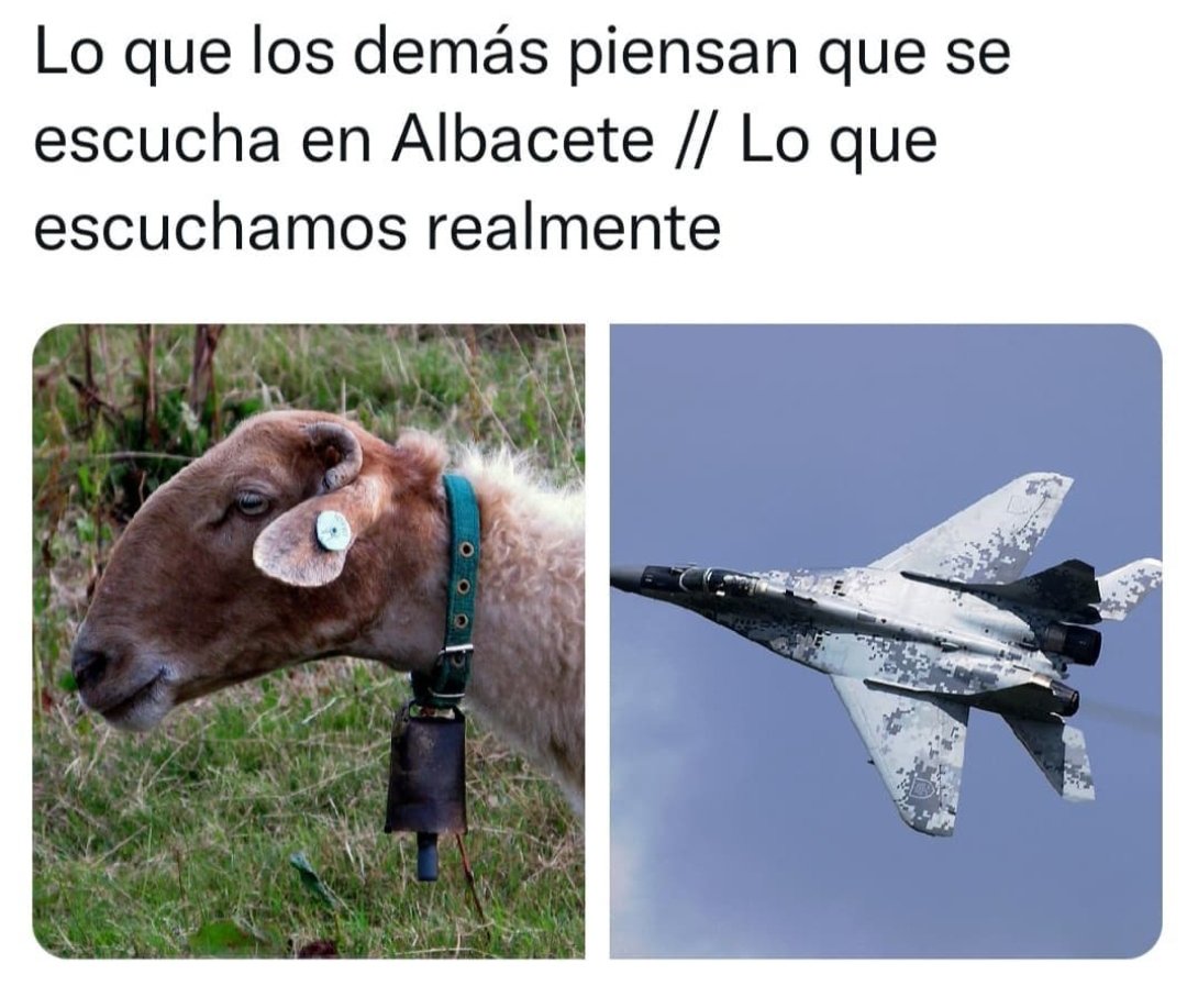 Postureo Albacete tweet media