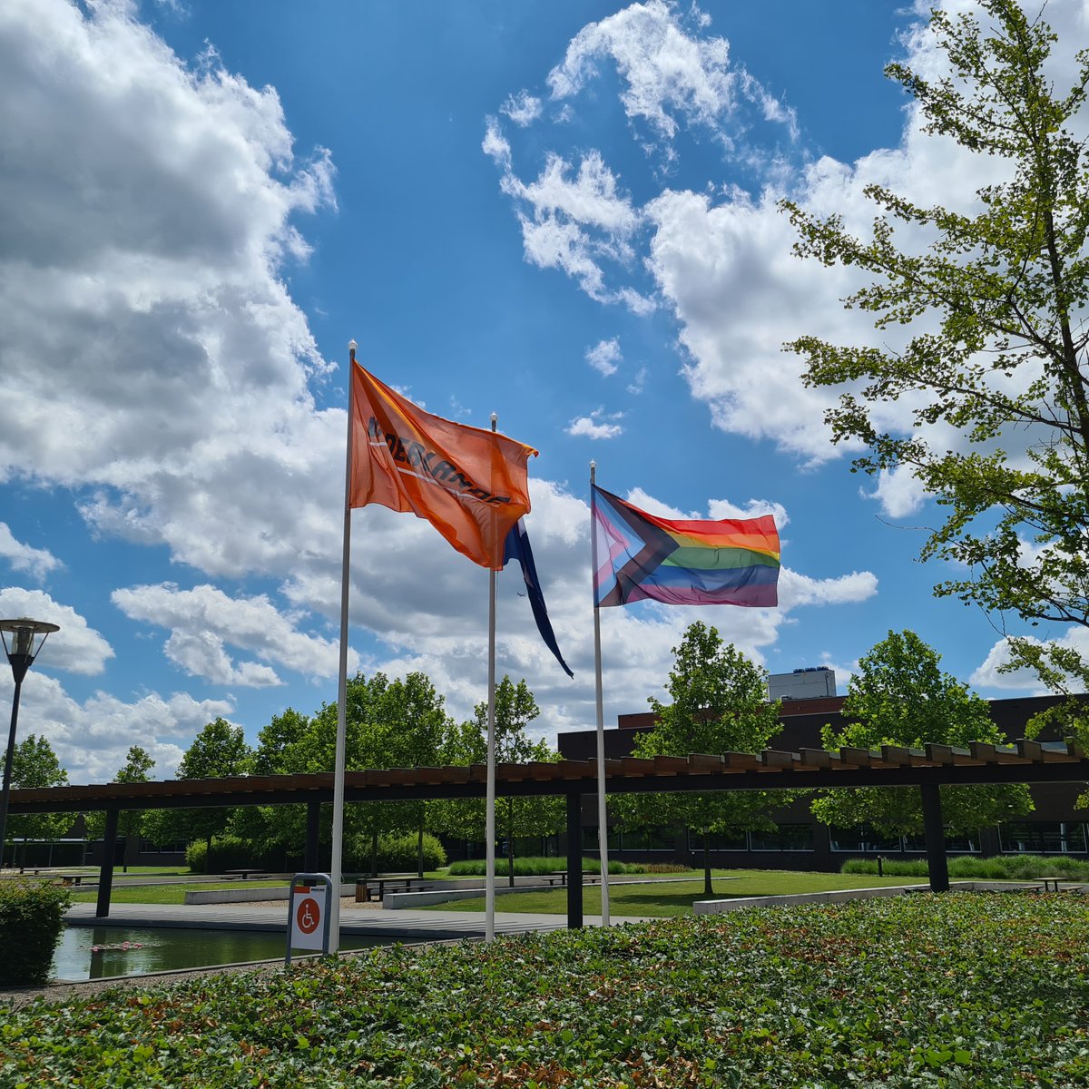 Vanderlande's tweet image. On #ZeroDiscriminationDay we raise the #pride flag to remind us that discrimination is still a significant issue around the world. At Vanderlande, we do our part to help bring change. We believe in providing a #SafeBase for our employees. Everybody is accepted for who they are.