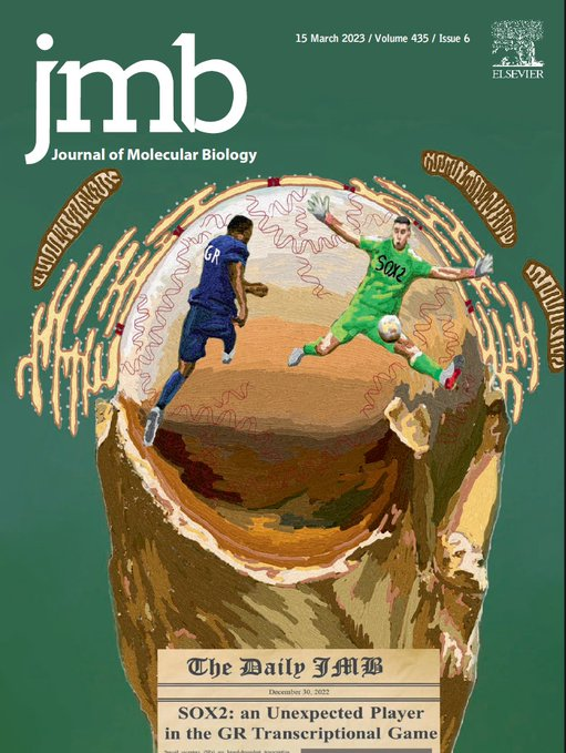 Muchaaaachos...
ya tenemos tapa del journal
Con el Dibu y con la copa,
ya no falta nada más!!
doi.org/10.1016/j.jmb.…
<a href="/iquibicen/">IQUIBICEN - CONICET - UBA</a> <a href="/ifibyne/">IFIBYNE 🇦🇷 CONICET - UBA</a>
<a href="/PresmanLab/">Diego Presman</a> <a href="/VLeviLab/">VLeviLab</a>
<a href="/stortzmd/">.</a> <a href="/CONICETDialoga/">CONICET Dialoga</a>
<a href="/Exactas_UBA/">Exactas UBA</a> @emimartinezz1
@JMolBio