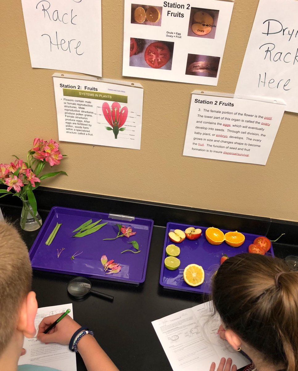 Diana Mitchell tweet media