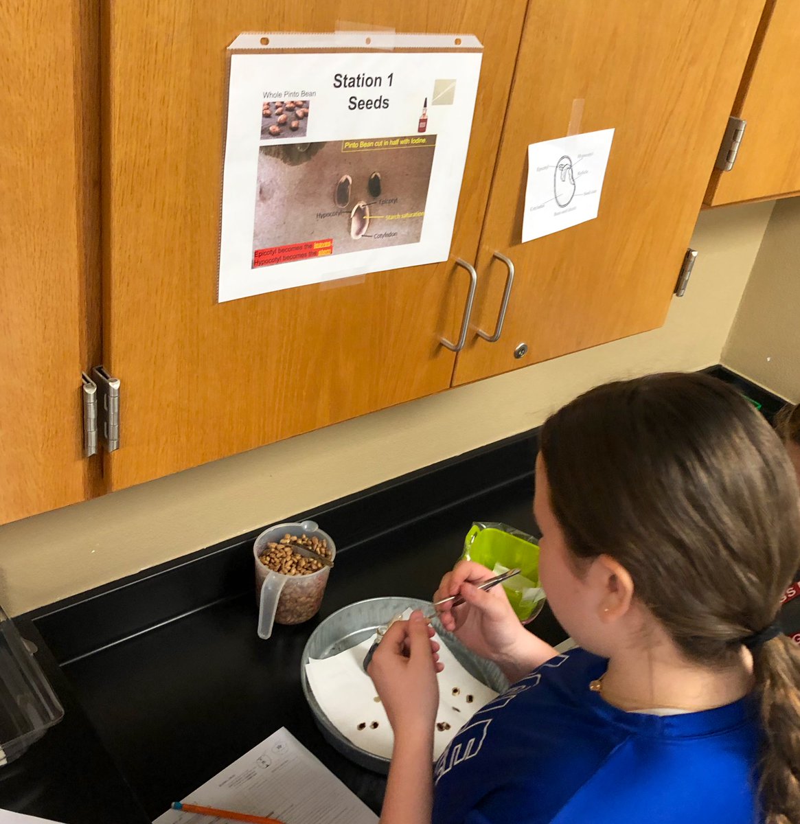 Diana Mitchell tweet media