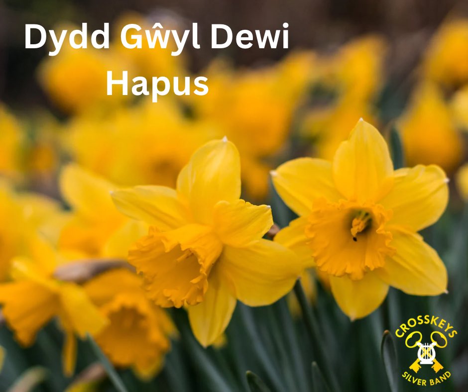Happy St Davids day! 💚🏴󠁧󠁢󠁷󠁬󠁳󠁿
Dydd Gwyl Dewi Hapus! 💚🏴󠁧󠁢󠁷󠁬󠁳󠁿