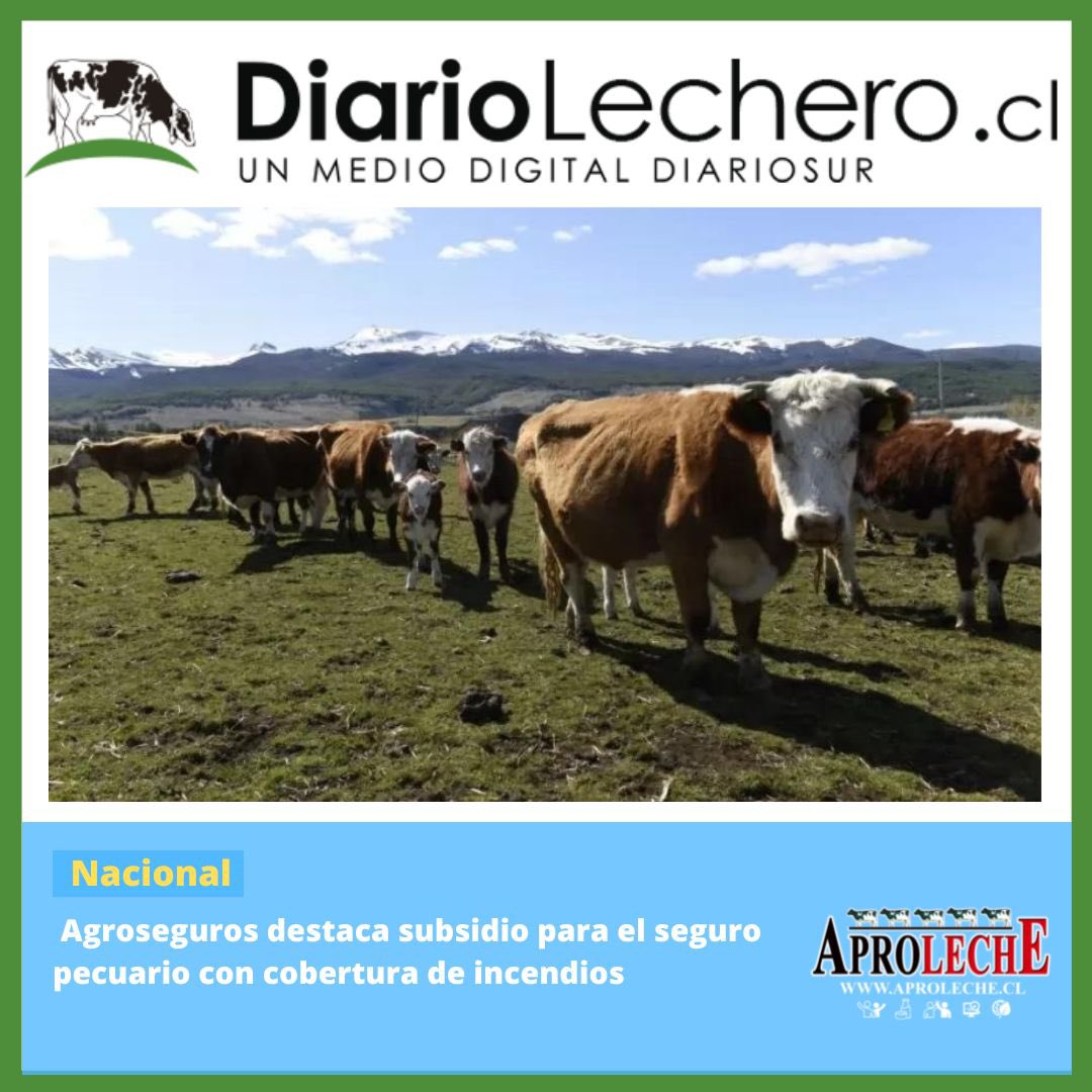 🌐  Diario Lechero 

📌 Agroseguros destaca subsidio para el seguro pecuario con cobertura de incendios

👉🏻 Para leer nota completa, los invitamos a ingresar a nuestra web bit.ly/41zS4cM