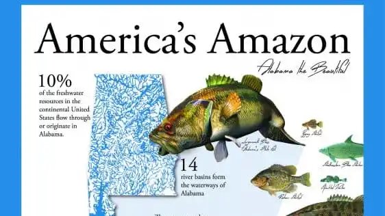 el Amazonas de América... i thought it was in Brazil, d'oh!