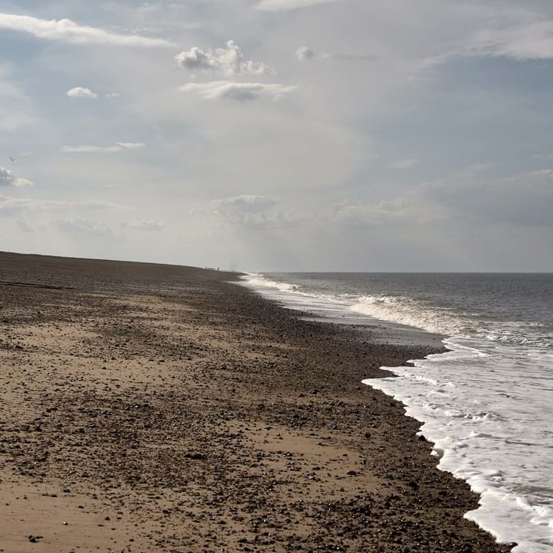 Royal Geographical Society (with IBG) tweet media