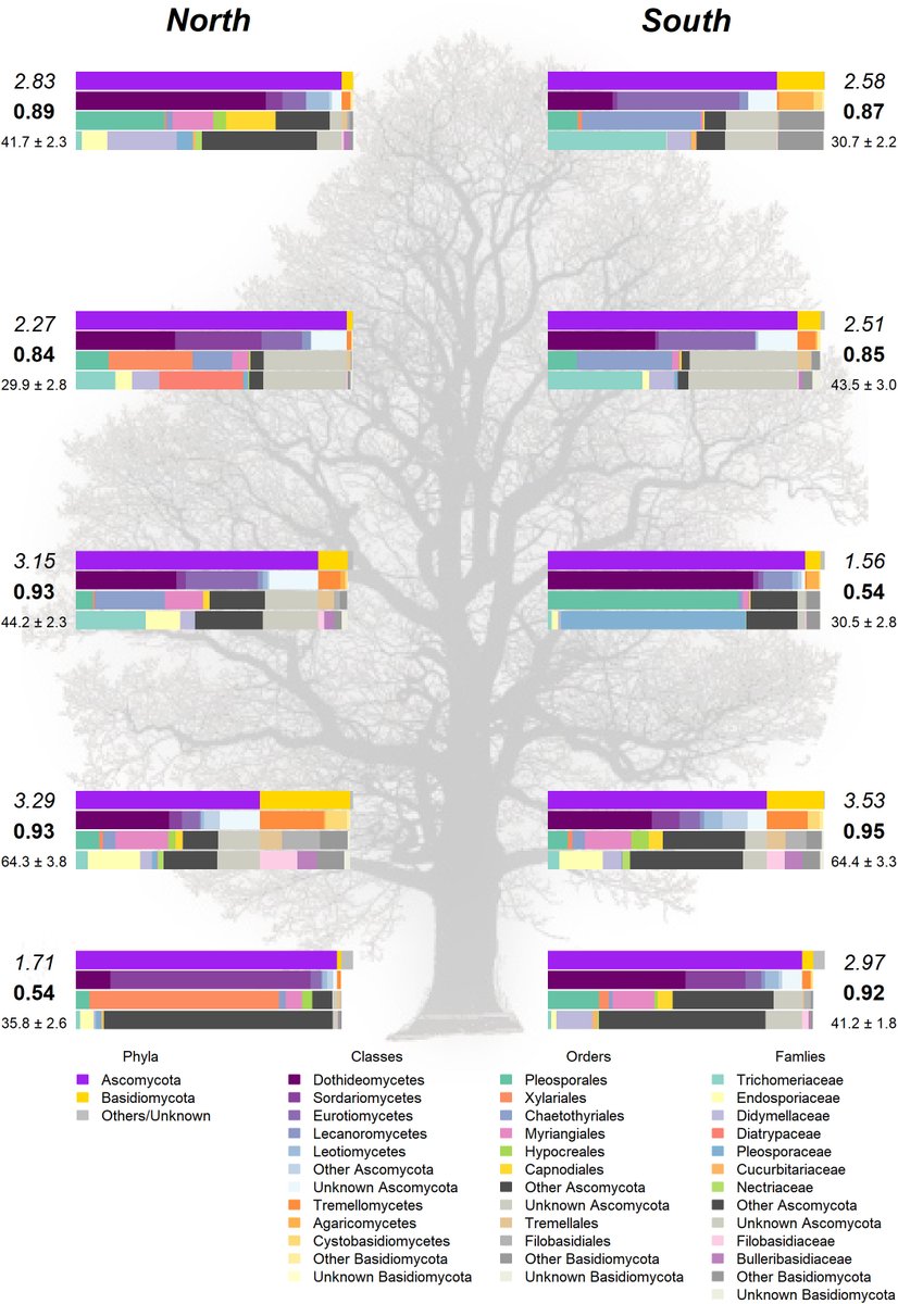 The right kind of genetics is needed for the #resistance of #elms to Dutch elm disease but elms could also benefit from their #endophytic #microbiome: frontiersin.org/articles/10.33…