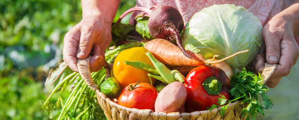 YorkRegionGovt's tweet photo. March is #NutritionMonth! Unlock the #PotentialofFood by making choices that positively impact your physical, mental &amp; the planet's health. #Dietitians are nutrition experts &amp; can help you choose wisely to promote your well-being &amp; the environment. Visit: https://t.co/4rFzFBYqL8 https://t.co/dUb71YCQz4