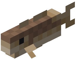 Femgirl_Fishing's tweet image. Next up is cod! Cod are kinda like the OG fish of Minecraft since their texture was used as the original fish texture. I believe the Minecraft cod are loosely based on Atlantic cod. They are both brown in color and have similar features (sort of) it may represent other cods aswel