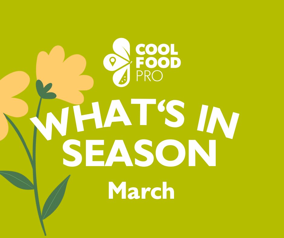What's in season in March for the UK?

🍎 Fruit - Apples, Cranberries, Pears
🥕 Veg - Artichokes, Beetroot, Cabbage (savoy), Celeriac, Kale, Leeks, Onions, Parsnips, Potatoes, Red cabbage, Swede, Turnips, Wild garlic
🥩 Meat - Venison