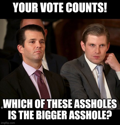 IamVyv's tweet photo. @DonaldJTrumpJr You wuckfitted POS. Your cretinous sperm donor would probably love it to turn up its toes, as it is yet another of his sad business fiascos. Then again, what else would one expect from the lifelong #OrangeFailure? https://t.co/6NpEe4Xert