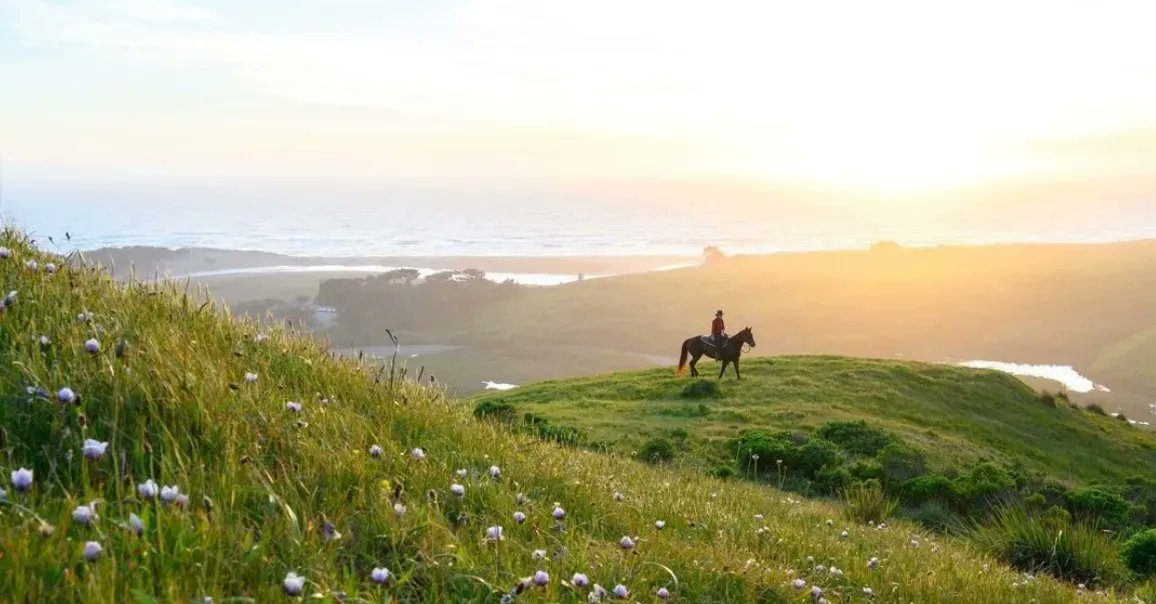 pambuda's tweet photo. Good morning, Sonoma County! March is here! 🌷

📷 @Sonomacounty

-Pam Buda, CaDRE #01381495
707-480-4142 | https://t.co/qdQddW09ic

#sonomacoast #norcal #coastline #visitsonoma
#sonomacounty #winecountry #sonomacountyviews
#springseaso https://t.co/bglVUFIqws