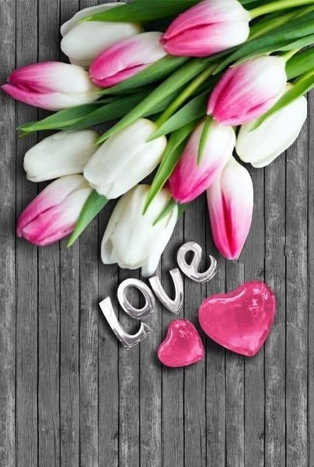 #loyal #AMY🅰️
<a href="/Alaayous3/">alaa amy</a>
<a href="/JulianaBrii/">julianabrii</a>
<a href="/RGujjar_1/">ساغر گجر</a>
@AlhadeerA
<a href="/raysa_77/">⚡Raisya ⚡</a>
<a href="/Gene5AK/">🌹خـــͫــͣــͥـــــانـــــزادی🌹</a>
@_Claudia_K_
@talkkami
<a href="/FelicPalma/">Felic Palma</a>
<a href="/bdonesem/">💞 𝔀𝓱𝓲𝓼𝓹𝓮𝓻 💞 ( ‏𝓐𝓵 ) 😘</a>
<a href="/ggloriagzz05/">🌟GGloria🌟</a>
<a href="/Adibajanna/">Nadhiratul Jannat</a>
<a href="/MohanChanyal/">Madan mohan chanyal</a>
<a href="/allahossamad99/">سبحان الله وبحمده سبحان الله العظيم</a>
<a href="/Sunny66204366/">dinesh menon</a>
<a href="/AGMRedMylene/">🍒🥀🦋simply_Red🦋🥀🍒</a>
<a href="/denizkaya0009/">DENO</a>
<a href="/BetterL46181278/">Better Life</a>
<a href="/JayaChandrika14/">Jaya Chandrika</a>
<a href="/kie_melody12s24/">⭐💜🎉Kieメロディー❣️🎶</a>