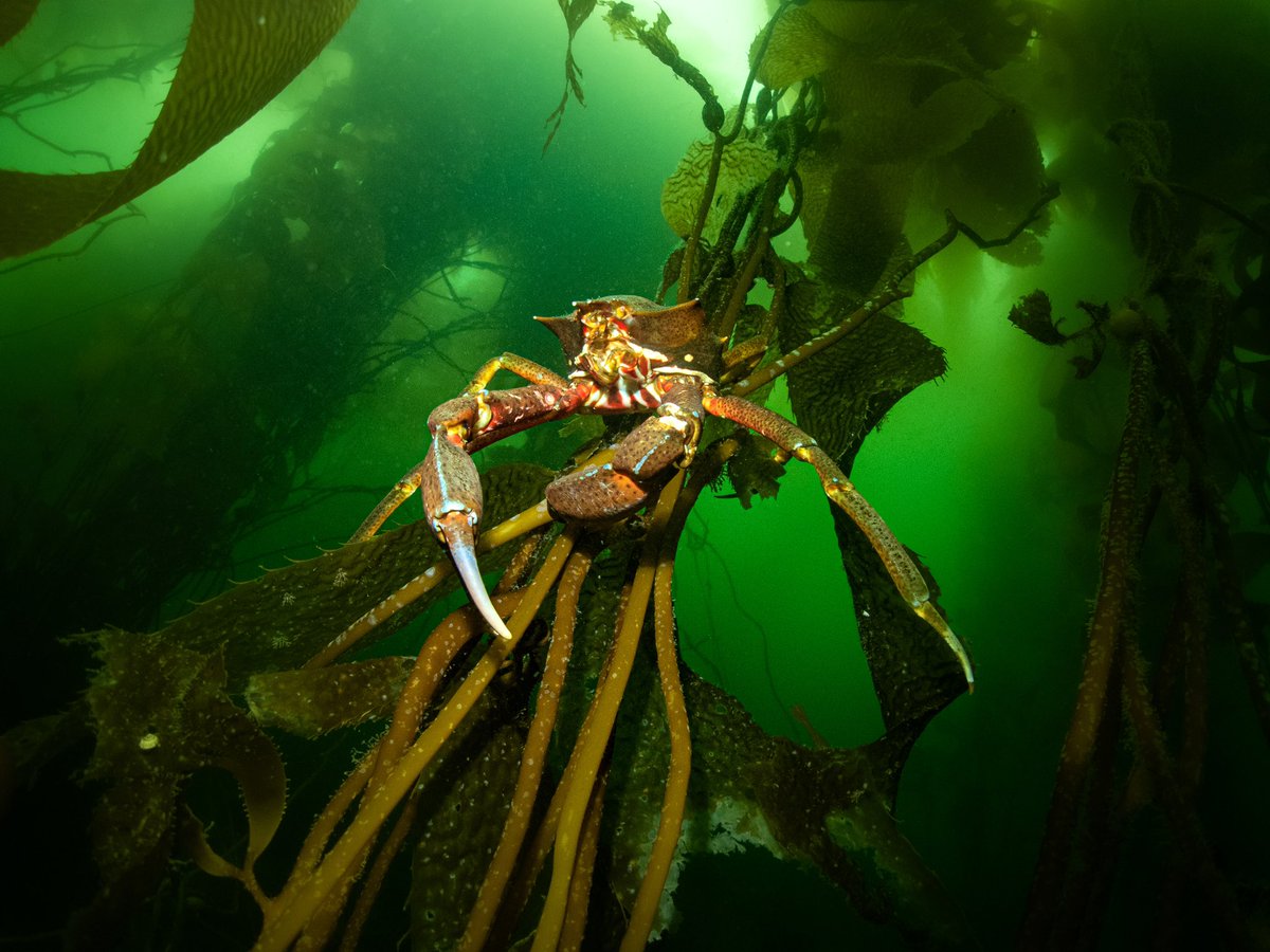 Carter Johnson tweet media