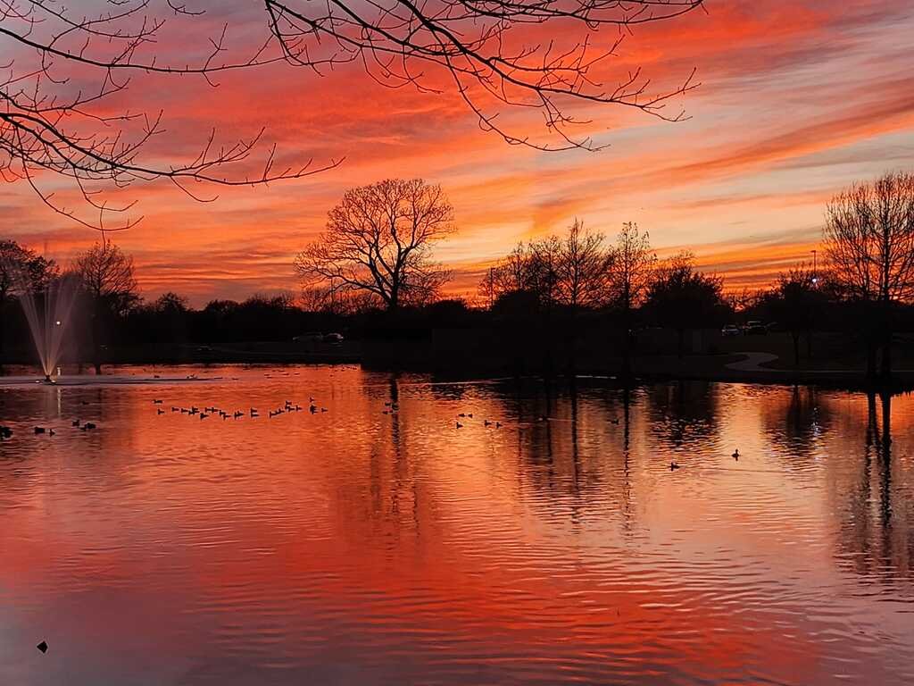 Martins_Kitties's tweet photo. Good Morning from Allen, TX https://t.co/Rr1GttO4h7