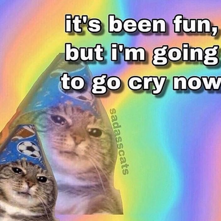 Handcraftline3's tweet photo. #ibeen #andhy #fun #kitten #catstagram #fluffy #catsoninstagram #cat #CatsOnTwitter #ilovecats #meow #Kitten #catsoninstagram #kitten #catstagram #fluffy #ibeen https://t.co/X9lqZV5WuT