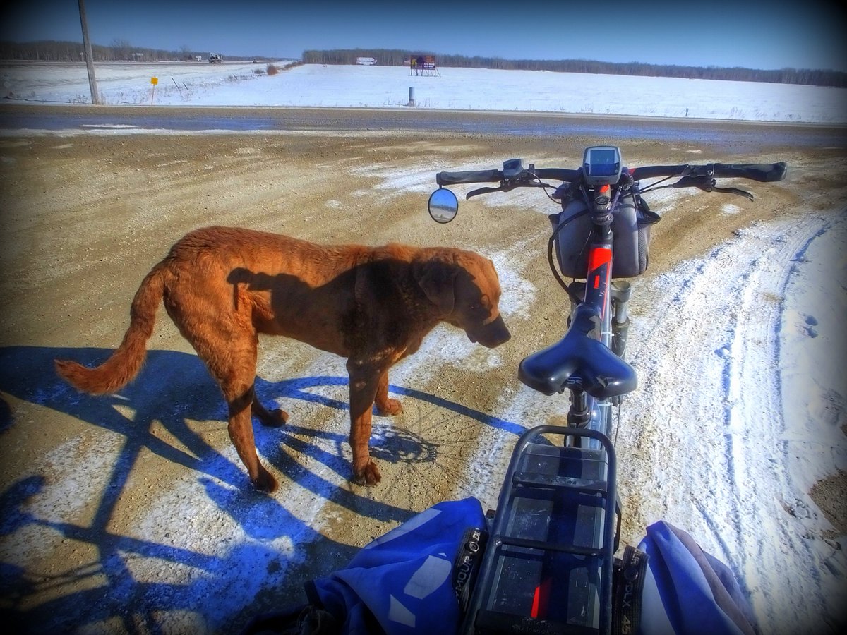 'Company Always Welcome - Down On The Corner' - along the Trans Canada Highway in La Coulee, Manitoba #February2023 #winter2023 #WINTER #doggo #dog #cycling #ebike #cubebikes #senior #activeliving #activeageing #transcanadahighway #LaCoulee #SteAnneRM #Manitoba #Canada #eastman