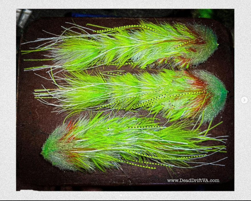 Saltwateronfly's tweet photo. I'd say you are ready
@deaddriftoutfittersva
#leggyboi #leggyboichanger #gamechangerfly we are ready for prespawn here at DDO!!!
.
.
.
.
#stepoutside
#brownFolksFishing
@deaddriftoutfittersVA
#blanechocklett #gamechangerfly
#jerkbaitmaniaproteam
#pikeskinz
#flyfishing https://t.co/56hEgHA0tx