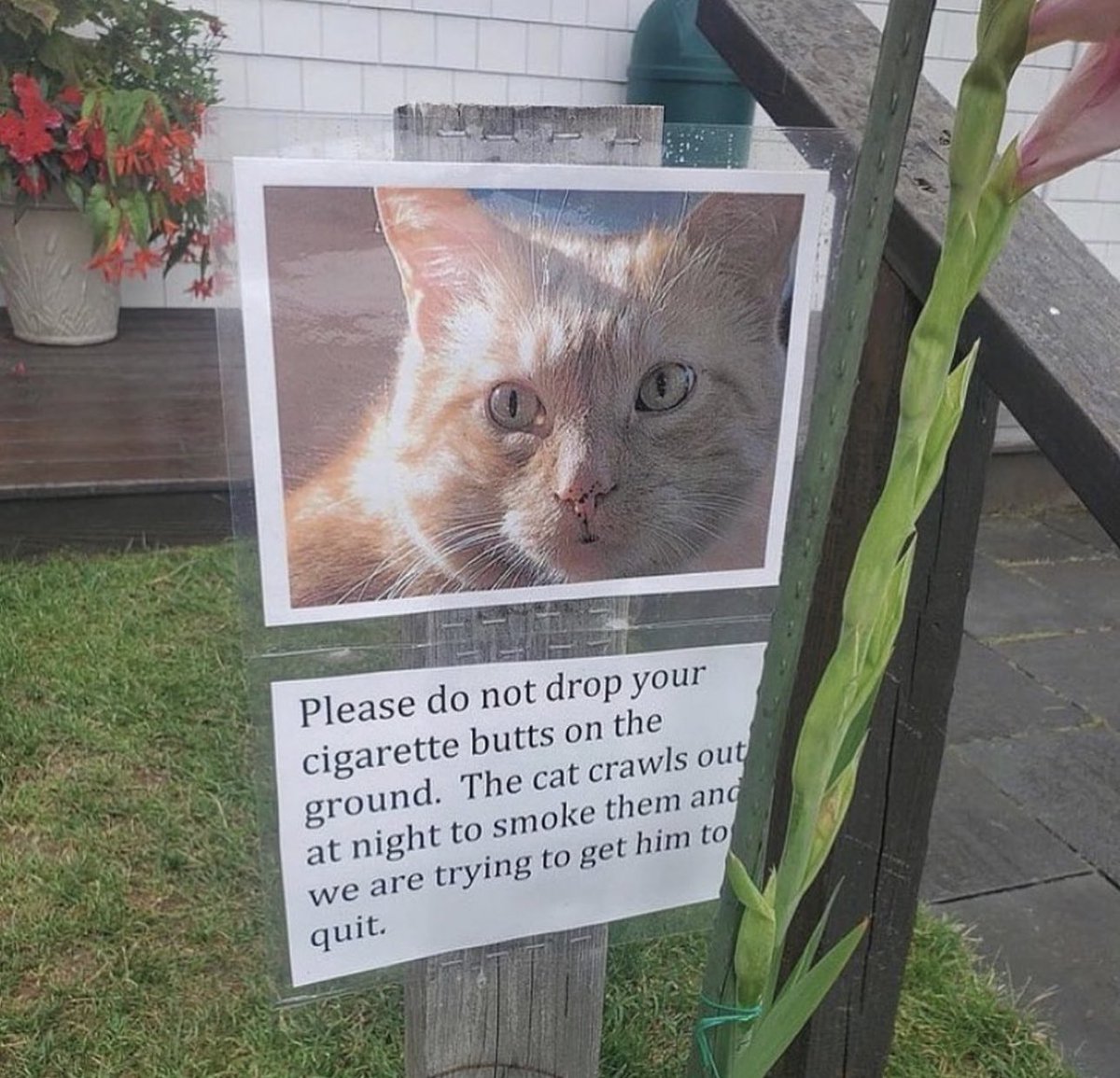 PostsOfCats's tweet image. 