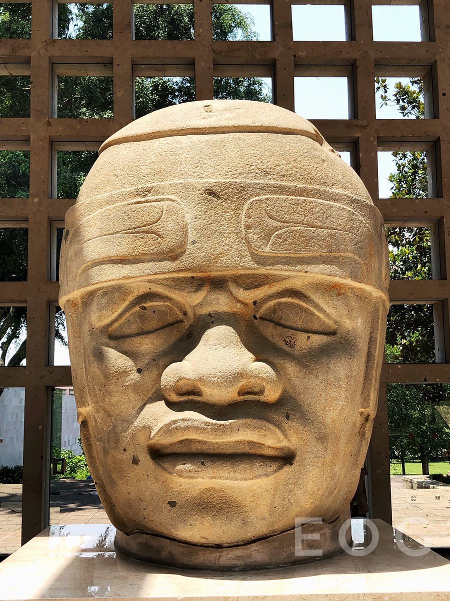 Cuauhtemoc_1521's tweet image. Cabeza colosal olmeca encontrada en San Lorenzo en 1970 por los arqueólogos Areti Herz y Juergen Brueggeman. Es considerada la cabeza en mejor estado de conservación. Actualmente se encuentra en el Museo de Antropología de Xalapa. Pesa alrededor de 30-40 toneladas.Foto:Enrique O.