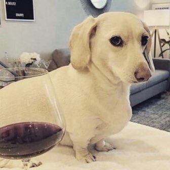 skrunkly enjoyer 💛🐥 ️ mika.txt on Twitter: "///leaks Lies, she ships