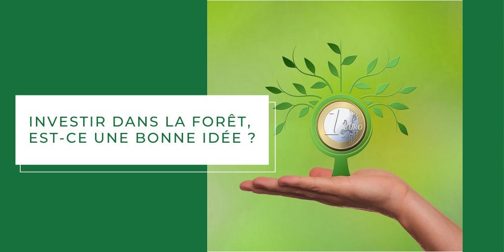 MeilleurGF's tweet photo. #Investir dans la #forêt, 💰🌳 est-ce une bonne idée ?
https://t.co/qKfi7tMsyZ https://t.co/o3YjRmbLEt