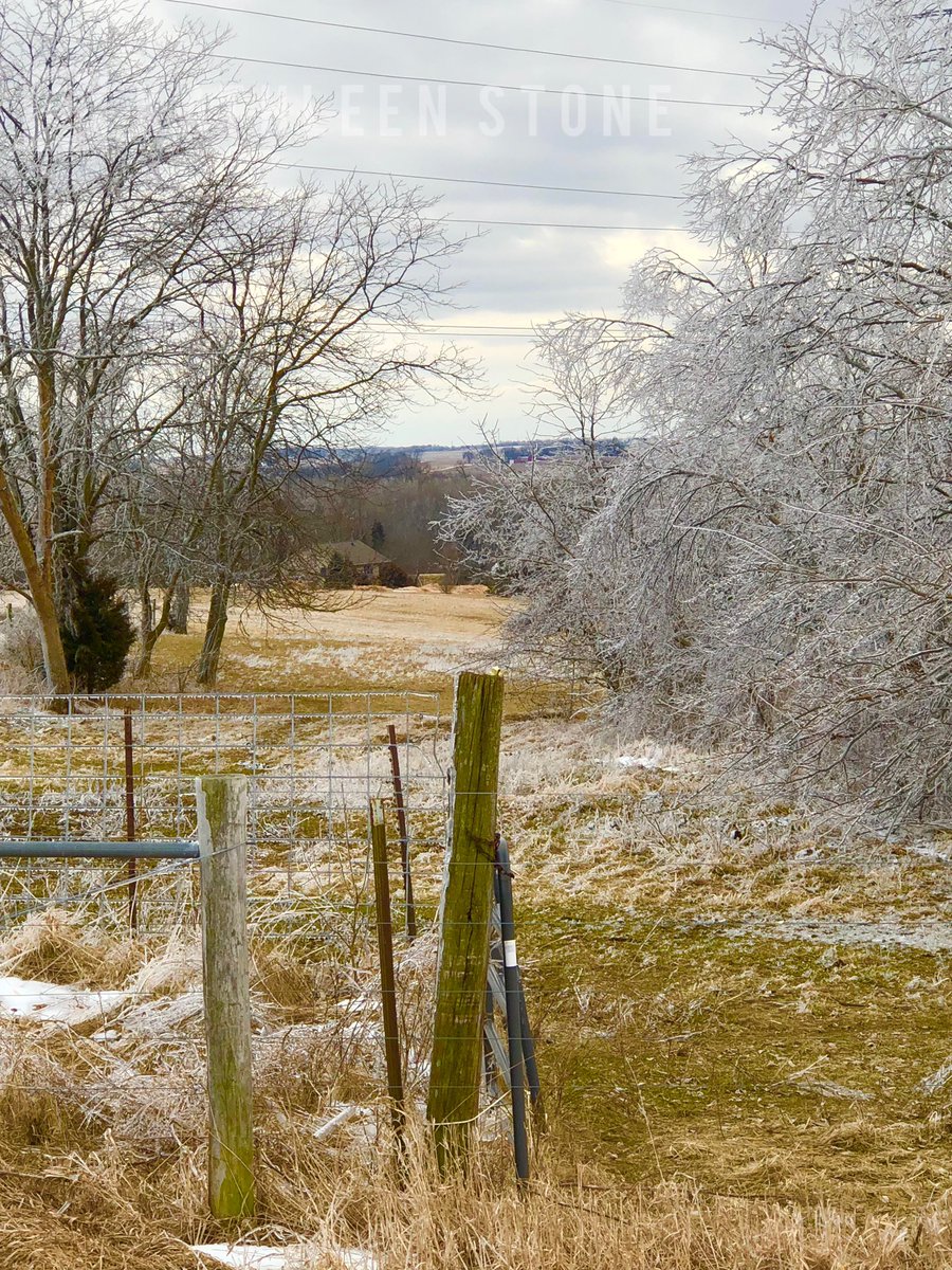 kstonewriter's tweet image. Happy March!

Not sure which I like better — color or black and white?

#MarchVibes #winter #nature #snow #trees #ice #photography