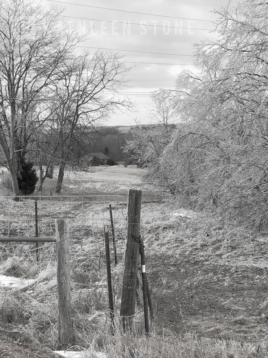 kstonewriter's tweet image. Happy March!

Not sure which I like better — color or black and white?

#MarchVibes #winter #nature #snow #trees #ice #photography
