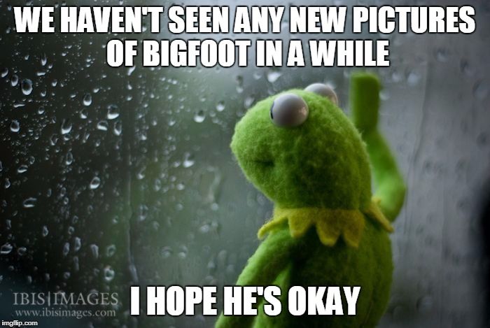 I love this meme to pieces. Makes me giggle everytime.
Miss me some #Bigfootsightings 
#Bigfootphotos