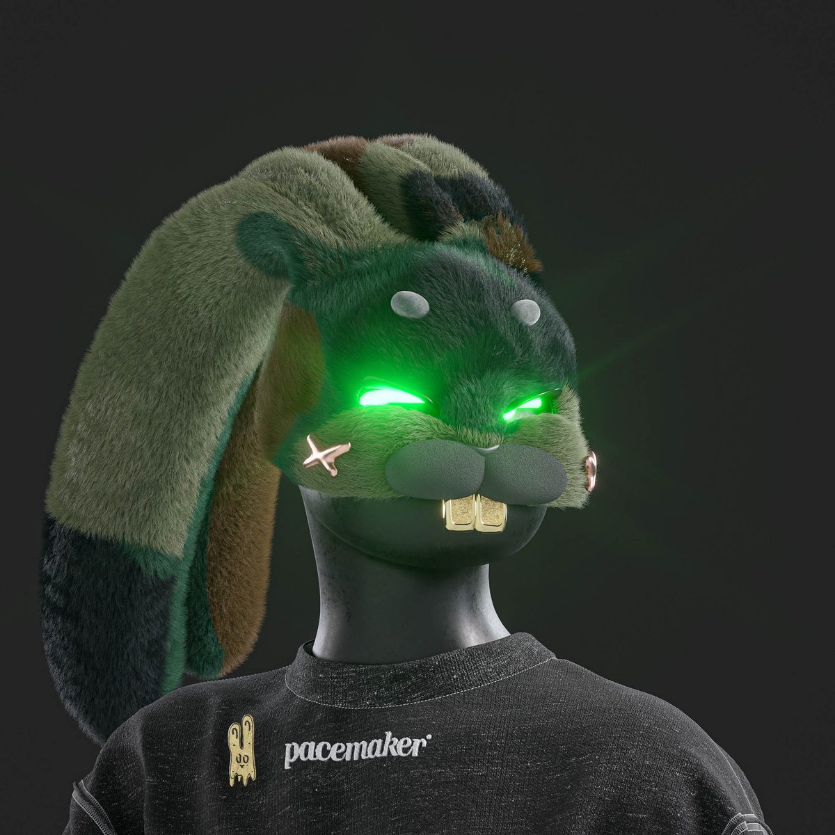 hightechghost_'s tweet image. 🗯️  F O L L O W    T H E    R A B B I T  🐰✨🍀

@Pacemaker_NFT #Pacemaker #SetThePace