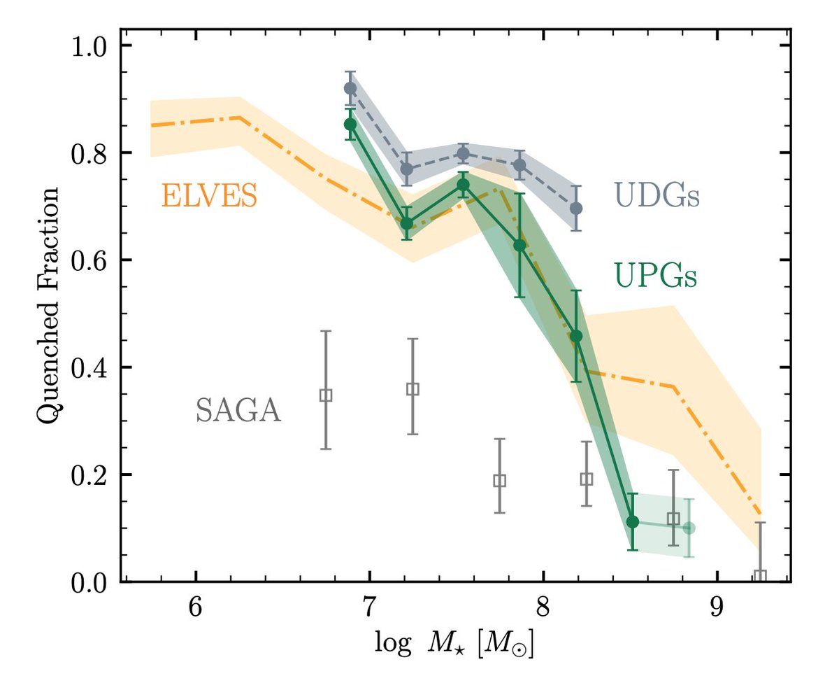 The satellites of our Milky Way and MW-like galaxies have been studied extensively, in particular, their star formation and quenching. We ask: how's the quenching of large puffy satellites? Surprisingly, we find that quenching is not tied to being puffy. arxiv.org/abs/2302.14108