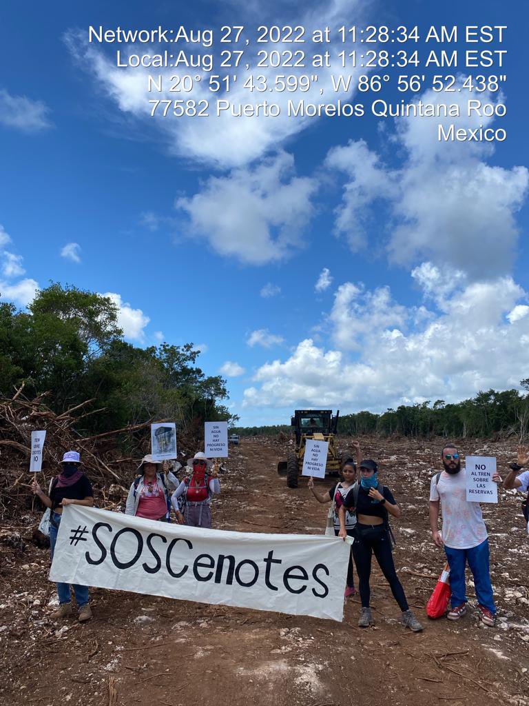 cris_n0's tweet photo. 🚨Tren Maya en #PuertoMorelos destruye 3 en 1: Arrecife, manglar y cenotes 🚨 HOY: Llegaron los barcos de Cuba para pasar balasto sobre el arrecife mesoamericano🪸(sin estudios). Para sacarlo en camiones, abrirán vía sobre manglar. Y el tren atravesará la Ruta de los Cenotes.👇 https://t.co/MDvh2PbOyQ