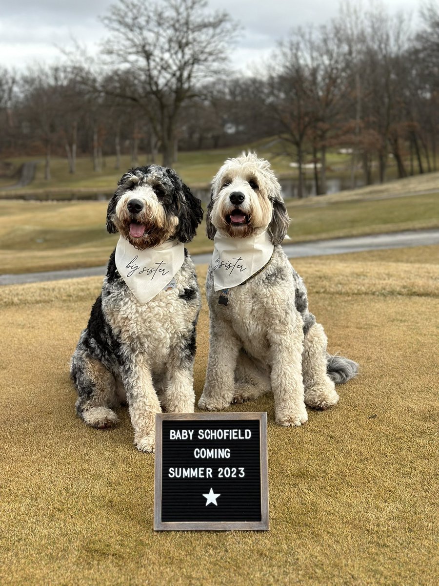 Penny and Blue have something to share with you!