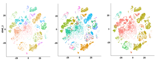 Translational Immuno-Informatics Lab (TIIL) tweet media
