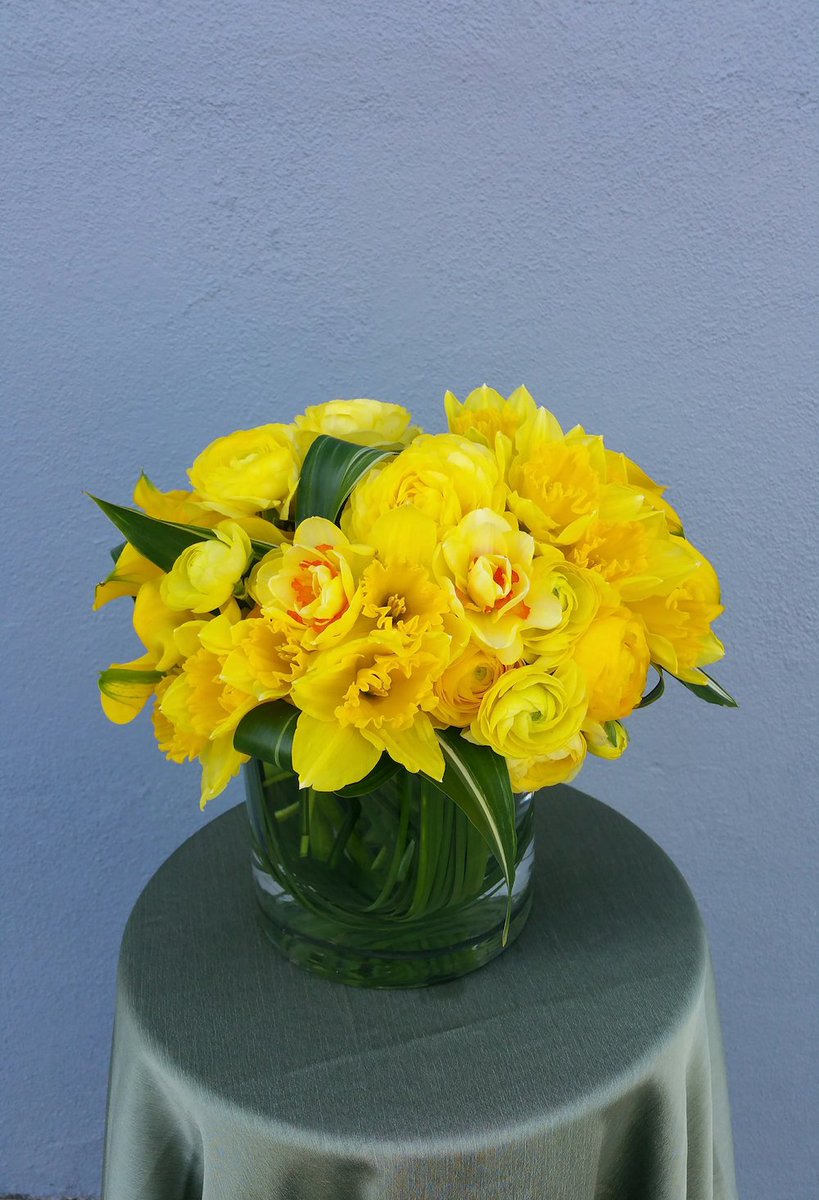 BloomNation tweet media