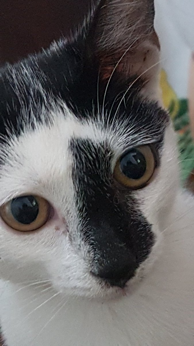 me da miedo q me mire así