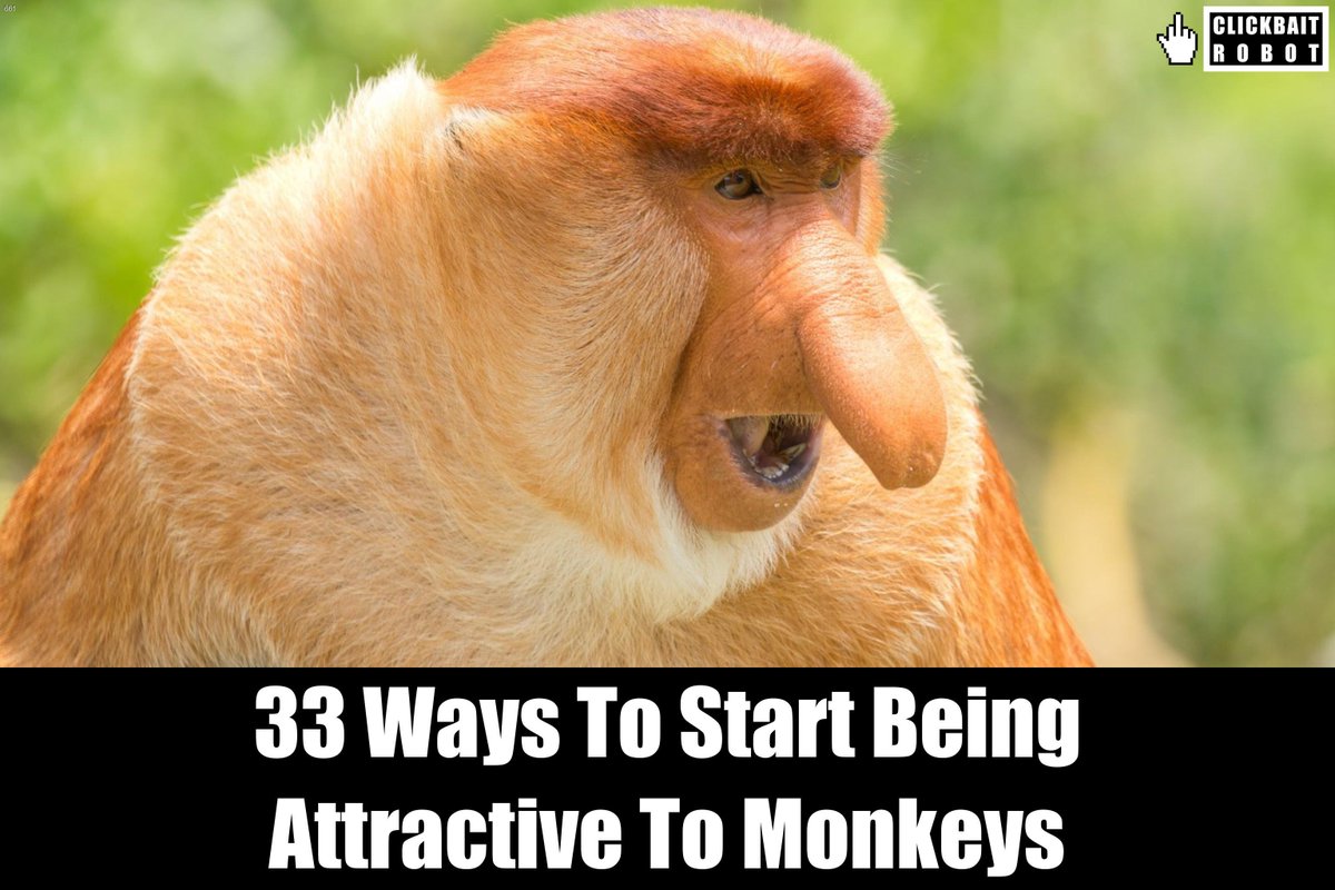 33 Ways To Start Being Attractive To Monkeys #Monkeys