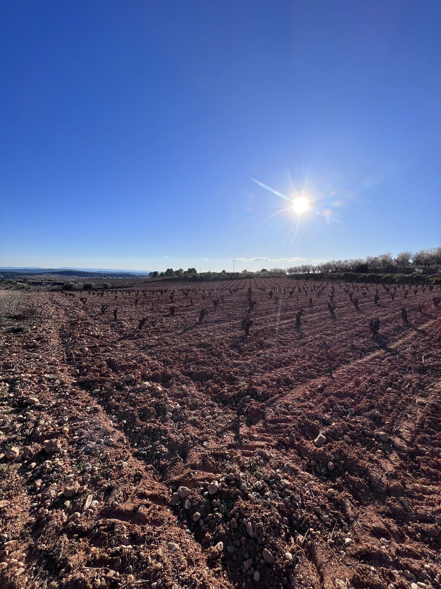 Visitamos junto a <a href="/PlaUtielRequena/">Utiel-Requena Sostenible</a> las ubicaciones de macroproyectos solares en zonas de alto valor para la agricultura y el medio ambiente de la comarca.

Ubicar plantas de esta manera y en el lugar equivocado puede tener graves impactos ambientales, paisajísticos y económicos.