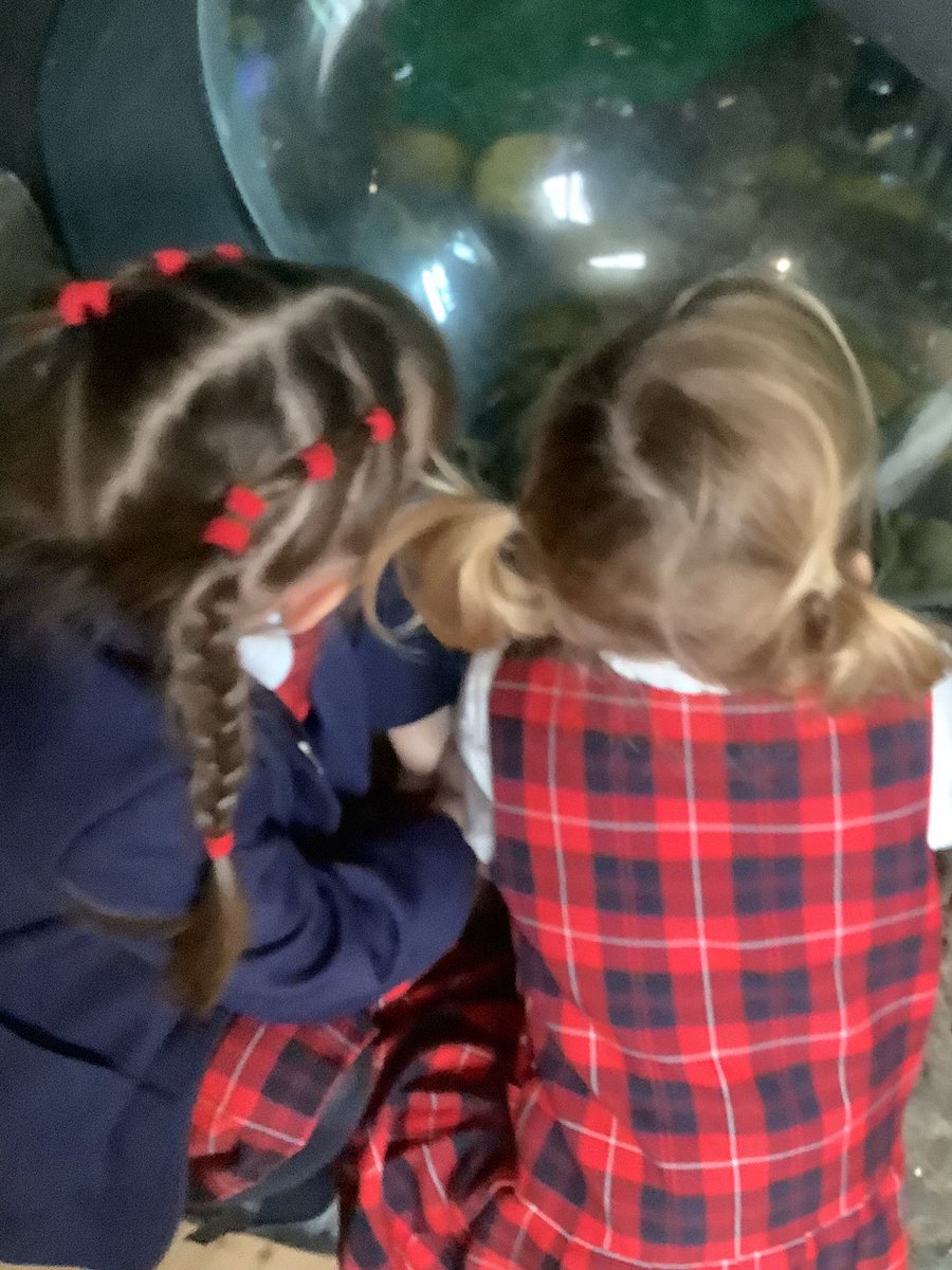 TH Pre-Prep tweet media