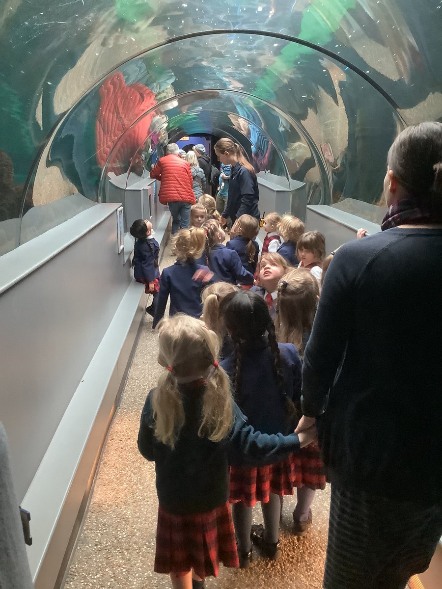 Reception had a fantastic time visiting The Oceanarium as part of their ‘Water’ topic!