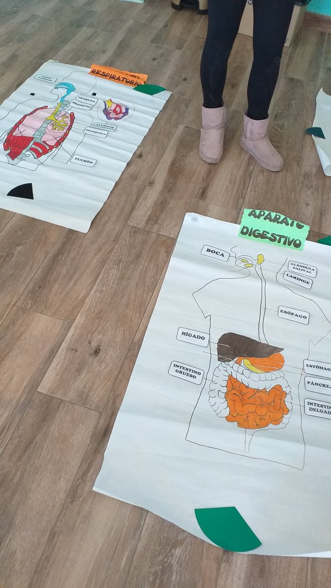 CSanctispiritus's tweet photo. Aprovechando material que había por clase para repasar los diferentes sistemas. Luego evaluamos lo aprendido hasta ahora con un Wordwall donde clasificamos órganos en sus sistemas. #CompDigEdu #VolamosJuntos #aprenderjugando #TIC #CeipSanctiSpiritus https://t.co/WWCzkR1Iar