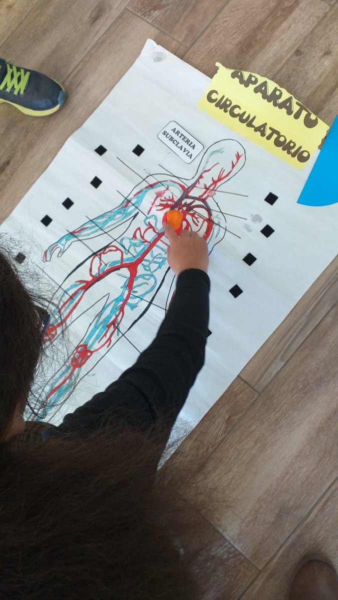 CSanctispiritus's tweet photo. Aprovechando material que había por clase para repasar los diferentes sistemas. Luego evaluamos lo aprendido hasta ahora con un Wordwall donde clasificamos órganos en sus sistemas. #CompDigEdu #VolamosJuntos #aprenderjugando #TIC #CeipSanctiSpiritus https://t.co/WWCzkR1Iar