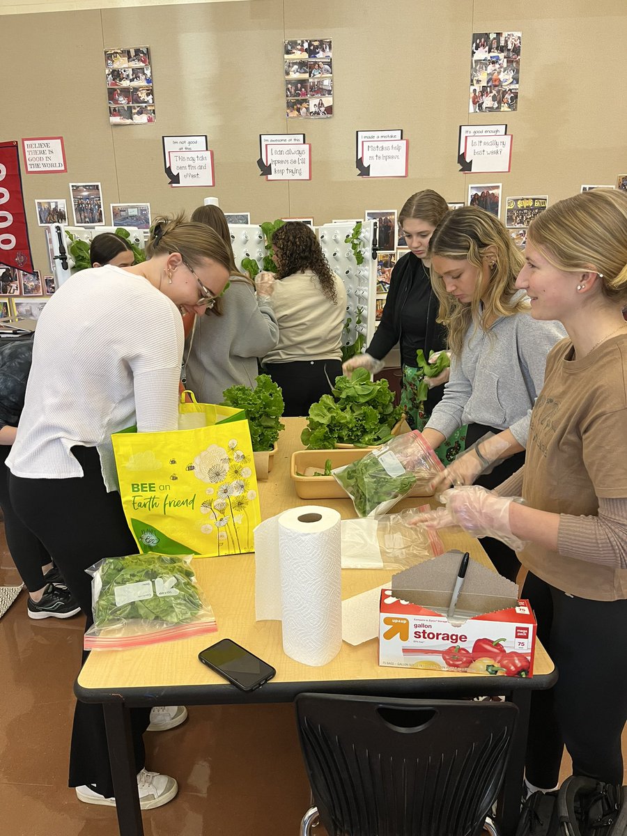 UDHS_FCS's tweet photo. Lettuce harvest ✅ We were able to send our @MCIU @HeadStartgov class home with four heads of lettuce each. Thank you, @UpperDubSuper, @UDHSCardinals, @ForkFarms, @FluxSpace_io, Mr. Michener, @GiantFoodStores in Maple Glen, and all of the students who made this happen! https://t.co/5o0aFQeWNP