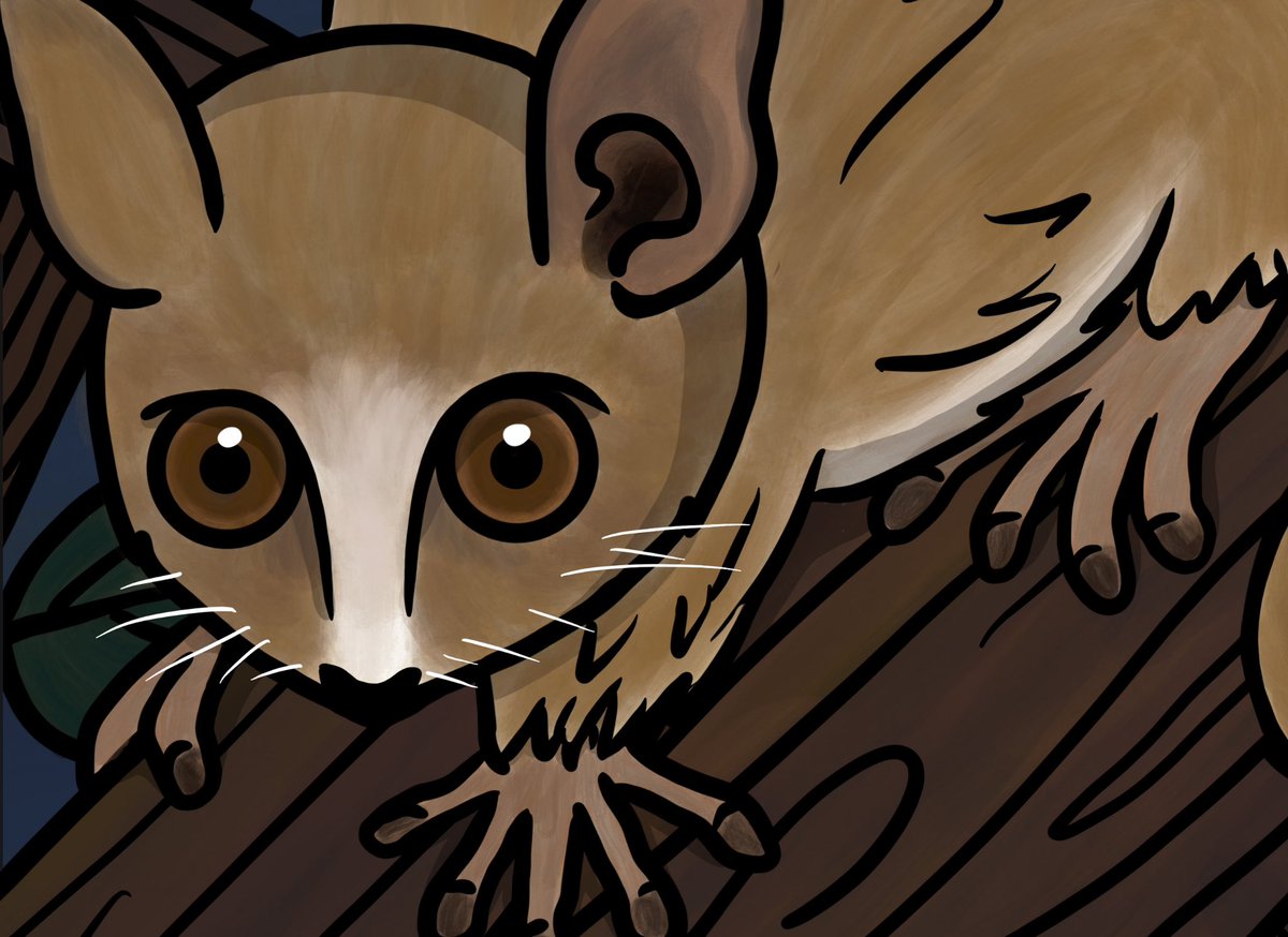 Bringing some cuteness to the TSD auction this Saturday!

Another opportunity to hold a FantieSu’s Friend - a collection of tiny creatures with lots to share 🤎

$FTM #NFT