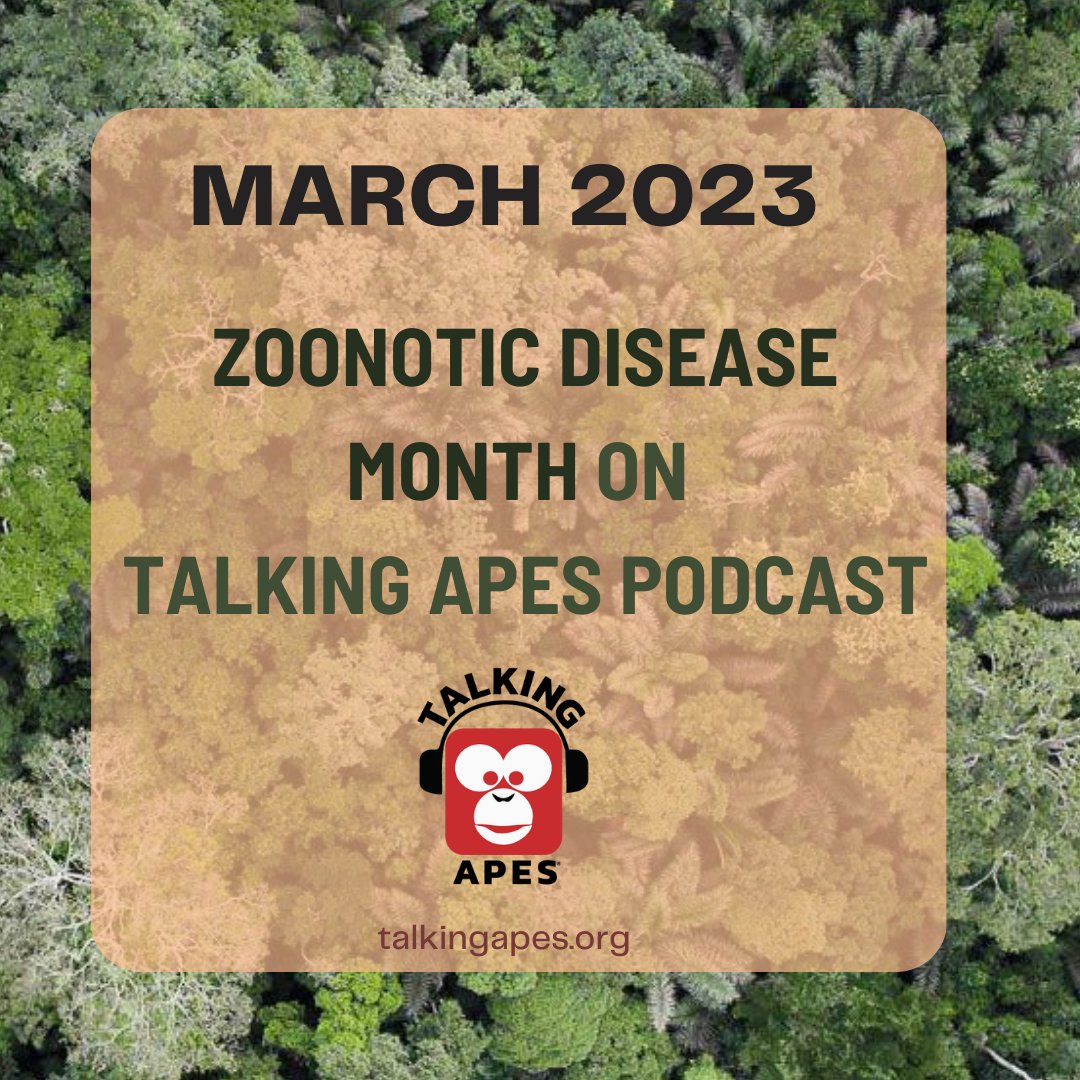This month on Talking Apes, we're going to be bringing you 4 podcasts from world experts on #diseaseecology and #zoonotic disease. First episode in this special series drops 7th March.