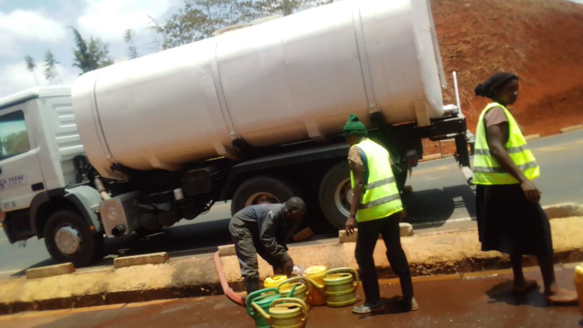 Kitisuru & Peponi Rd neighborhoods thank @HYoungCoEALtd1 4 sending a bowser to water our parched trees along Waiyaki-RedHill bypass today. Together 4 a cooler Nairobi, we watered over 2000. @KURAroads @KeForestService @PSN_Nairobi @onetreeplanted @johntree1981 @kuyokuyo1 @cifor