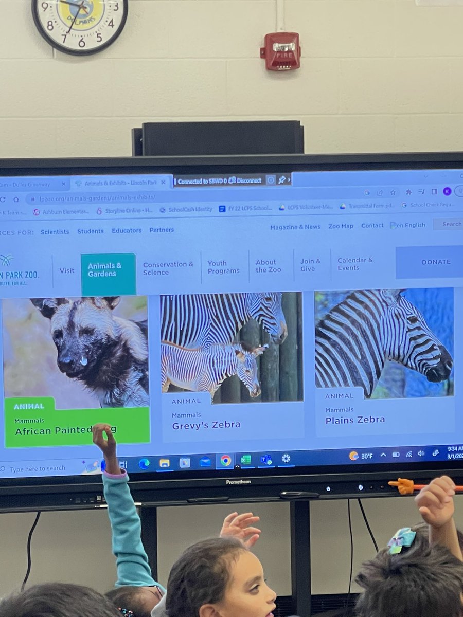 Career Day 2023 is underway!  Students are getting to learn about so many different careers!