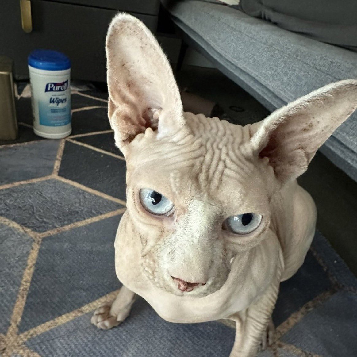 protonlynx's tweet photo. https://t.co/XUM0gKGtMW