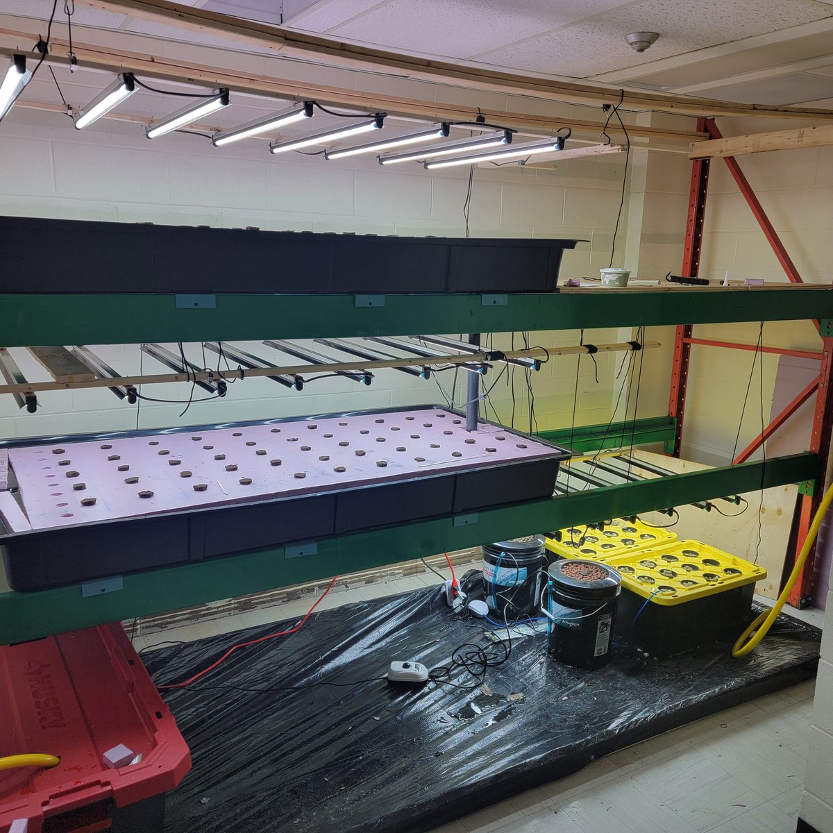 Marc Merhebi tweet media