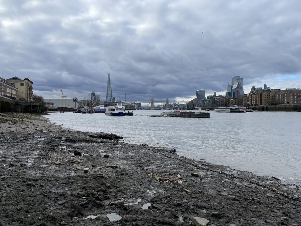 Lara Maiklem FSA - The London Mudlark tweet media