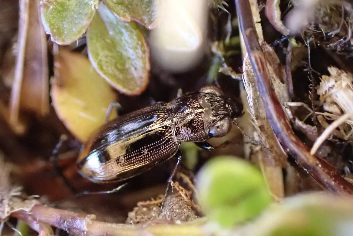 Agnes Kreiling tweet media